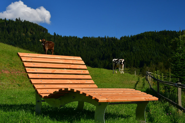 'Himmelsliege auf dem Mllerbauernhof im Schwarzwald'