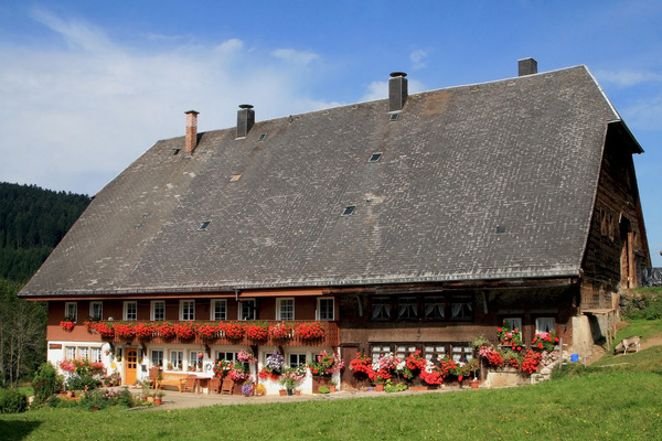 Oberhfenhof im Sommer