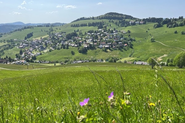 Todtnauberg - Blick aufs Dorf und aufs Horn