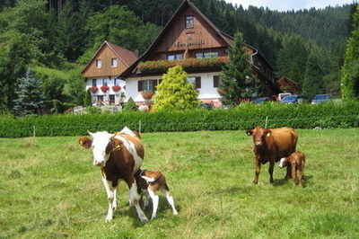 Hansenhof und Tiere