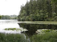 Schl�chtsee (Bildnachweis: Tourist-Information Grafenhausen)