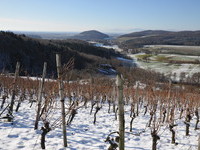 Blick vom Saalenberg Richtung Bollschweil (Bildnachweis: Gemeinde S�lden)