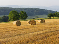 (Bildnachweis: ©schulte-kellinghaus) (Bildnachweis: ©schulte-kellinghaus)