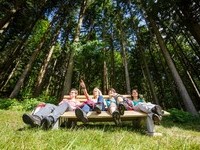 Schwarzw�lder Wandersinfonie Himmelssteig Bank Wald  (Bildnachweis: � KTG Foto: David Lohm�ller)