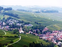  (Bildnachweis: Mit freundlicher Genehmigung der Touristikinformation Auggen / Winzerkeller Auggener Sch�f)