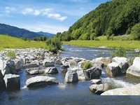  (Bildnachweis: Mit freundlicher Genehmigung des B�rgermeisteramtes Steinach)