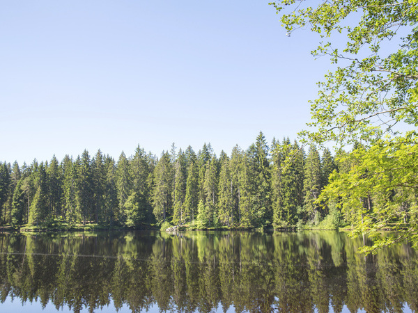 Blick auf Mathisleweiher Bildnachweis: Hochschwarzwald Tourismus GmbH