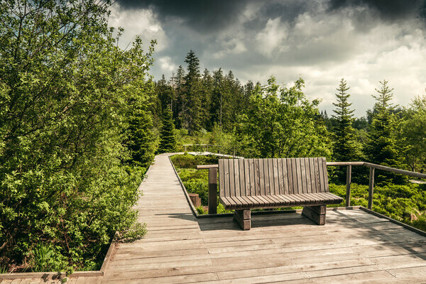 Der Lotharpfad Copyright: (Mit freundlicher Genehmigung von Baiersbronn Touristik | &copy; Max G�nter)