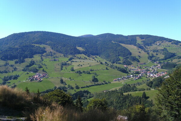  Bildnachweis: Mit freundlicher Genehmigung der Stadt Wieden