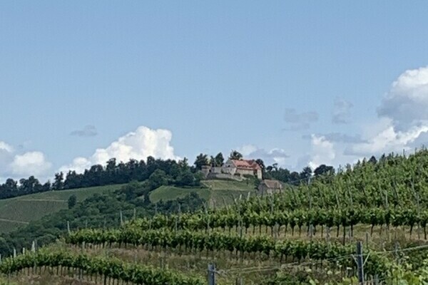 Schloss Staufenburg Krimiwanderung  Bildnachweis: Mit freundlicher Genehmigung der Durbach Event Gruppen und Teamveranstaltungen