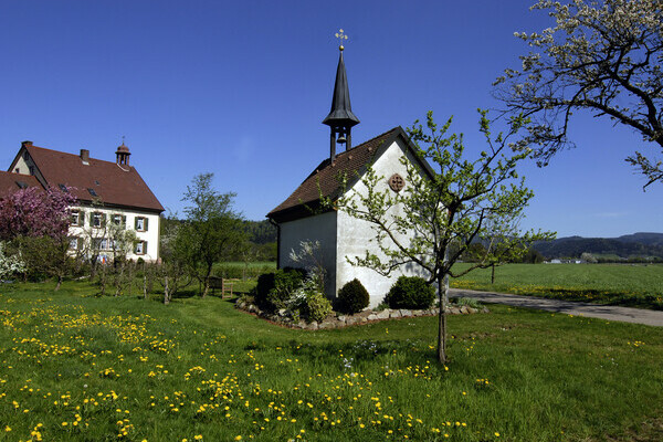Frühling im Breitehof im Attental Copyright: (Tourist-Information Dreisamtal) Frühling im Breitehof im Attental Copyright: (Tourist-Information Dreisamtal)