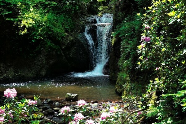 Geroldsauer Wasserflle Copyright: (Baden-Baden Kur & Tourismus GmbH)