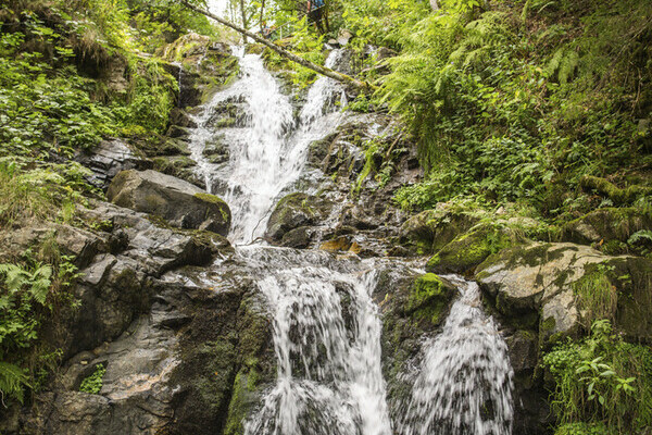 Todtnauer Wasserf�lle Copyright: (Hochschwarzwald Tourismus GmbH )